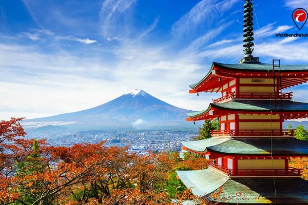 TOP 8 những sự thật thú vị về đất nước, con người và văn hóa Nhật bản