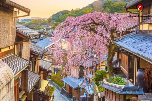 Du lịch Nhật Bản từ A đến Z: Kinh nghiệm, tour, xin visa, chi phí giá rẻ