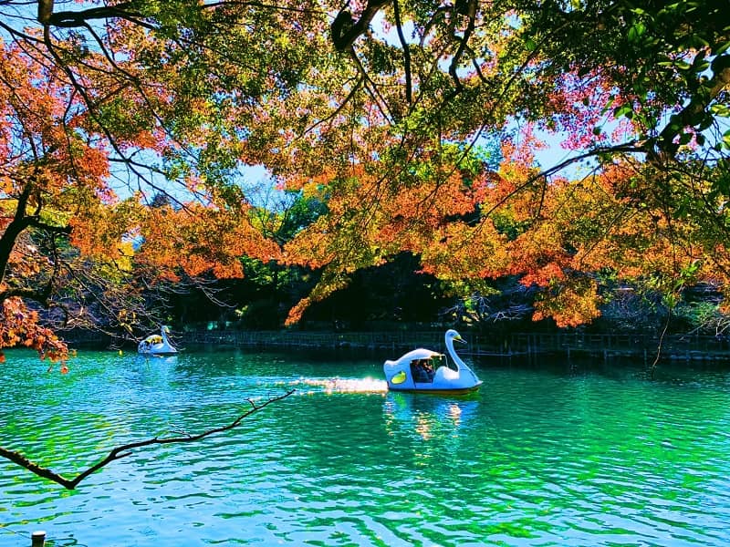 công viên Inokashira