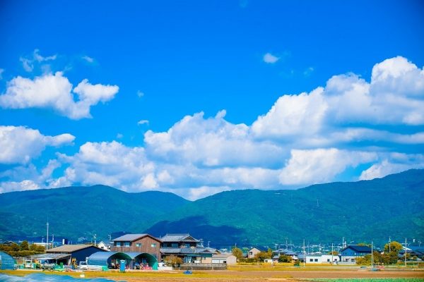 Ngẩn ngơ với bức tranh miền quê tỉnh Tokushima trong nắng chớm thu