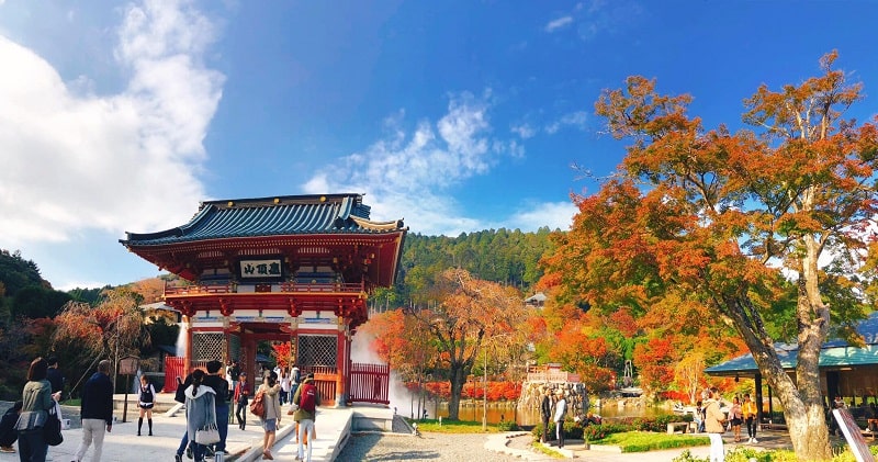 Kinh nghiệm du lịch Nhật Bản tự túc bỏ túi dành cho bạn từ A đến Z