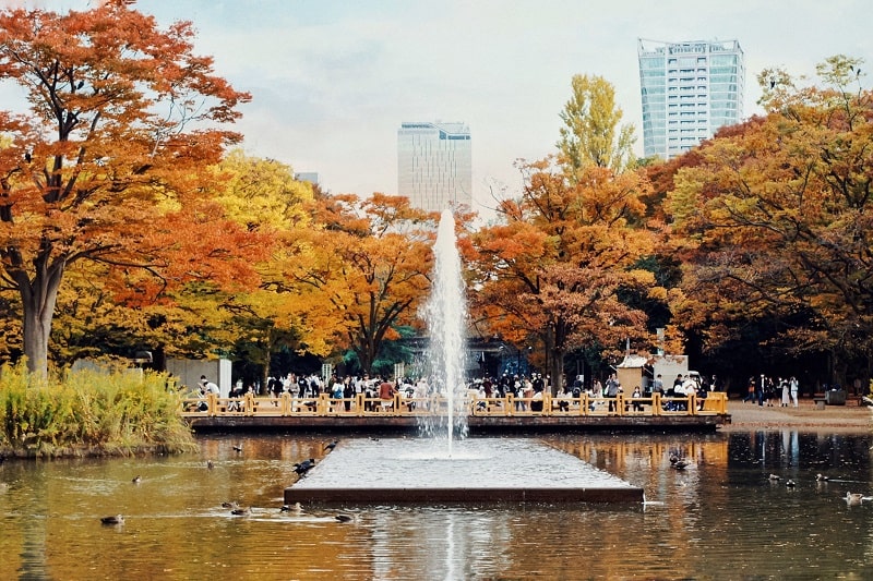 Công viên Yoyogi tại Tokyo địa điểm dã ngoại lý tưởng dịp cuối tuần
