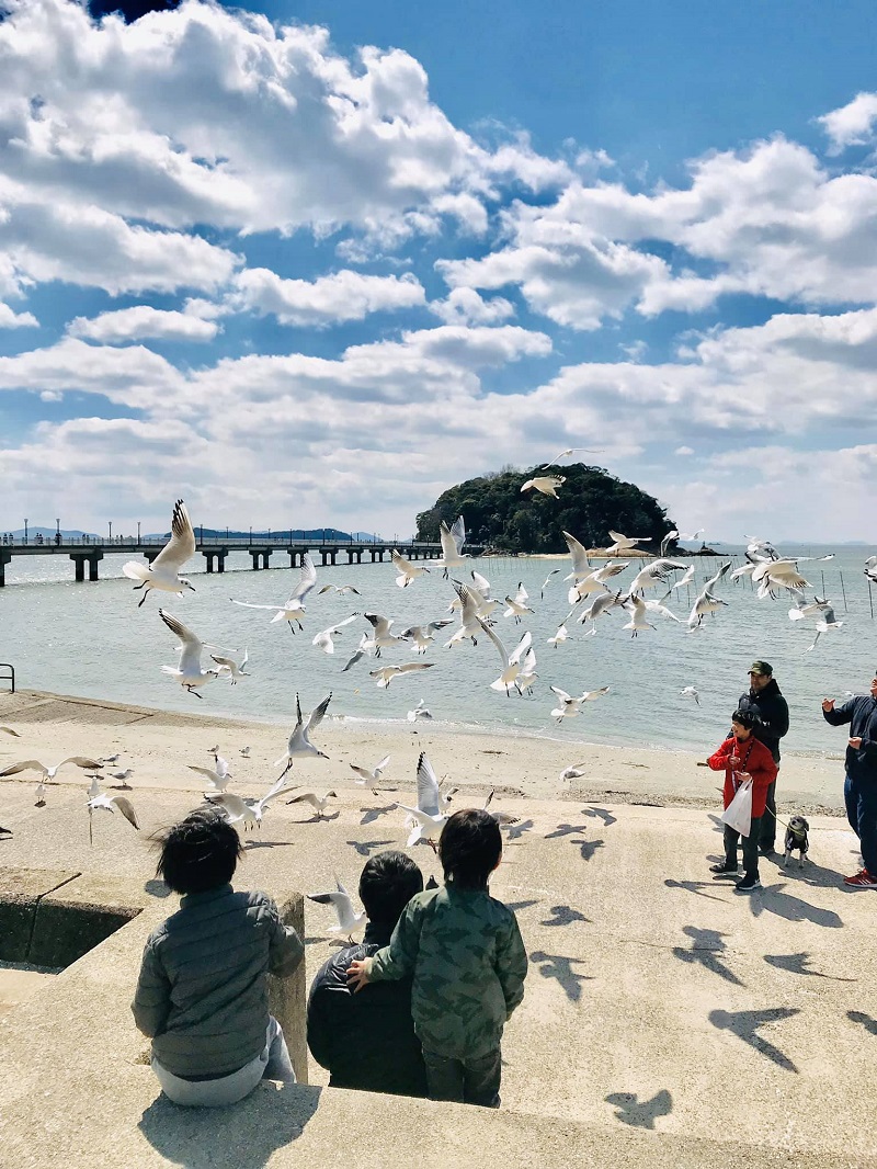 Đảo Takeshima