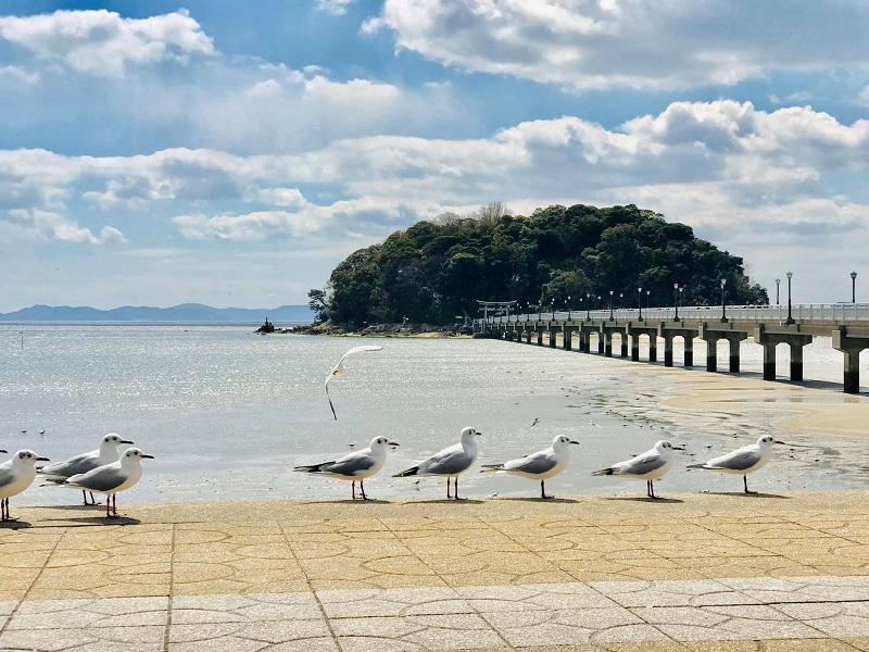 Đảo Takeshima