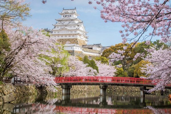 Check in tại 5 địa điểm ngắm hoa anh đào đẹp nhất Osaka