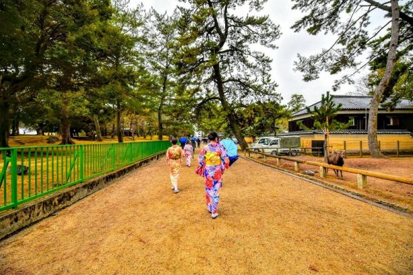 Công viên Nara sự kết hợp hài hòa giữa thiên nhiên, văn hóa và lịch sử