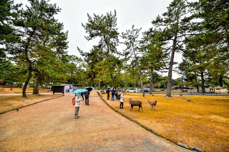 Công viên Nara