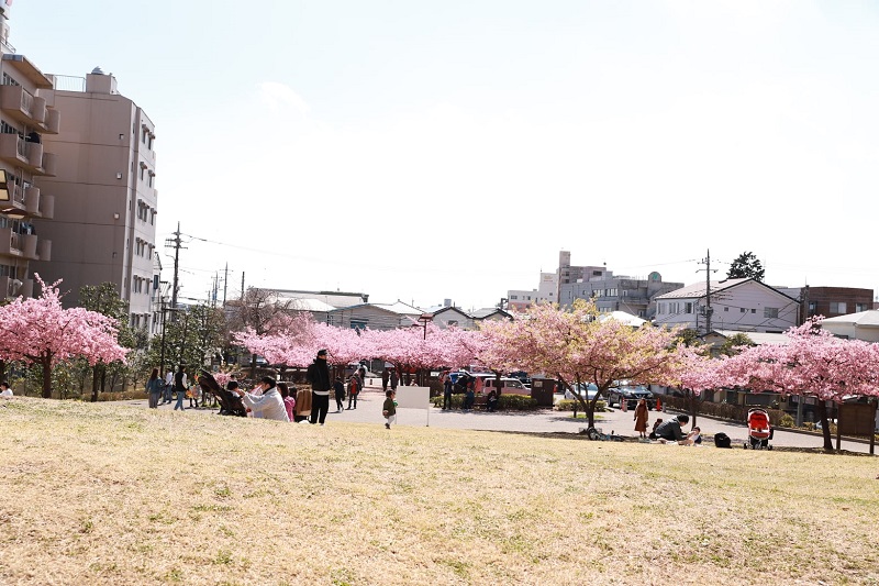 công viên di tích lâu đài Utsunomiya