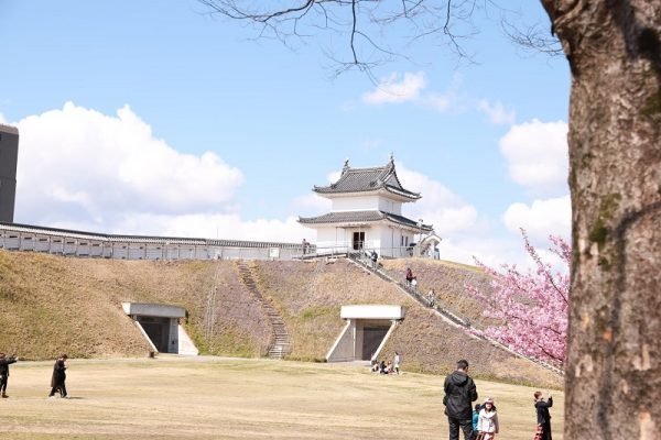 Sắc anh đào nhuộm thắm cả công viên di tích lâu đài Utsunomiya