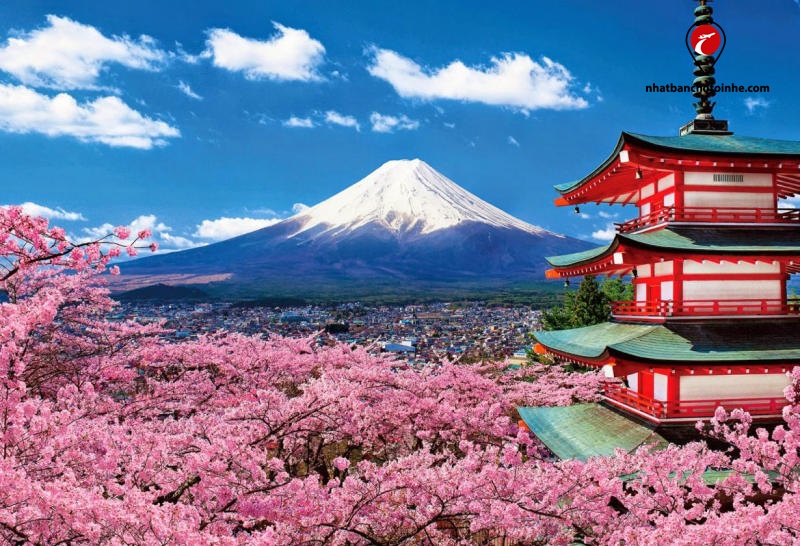 TOP 10 những điều thú vị về Nhật Bản khiến bạn ngỡ ngàng