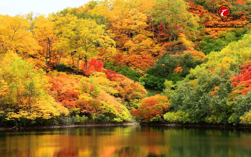 Du lịch Nhật Bản tháng 10: Một góc công viên quốc gia Daisetsuzan vào chiều thu