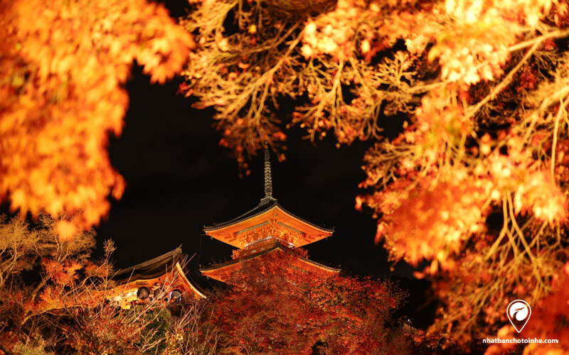 Du lịch nhật bản tháng 11: Khung cảnh vào mùa thu của chùa Kiyomizudera