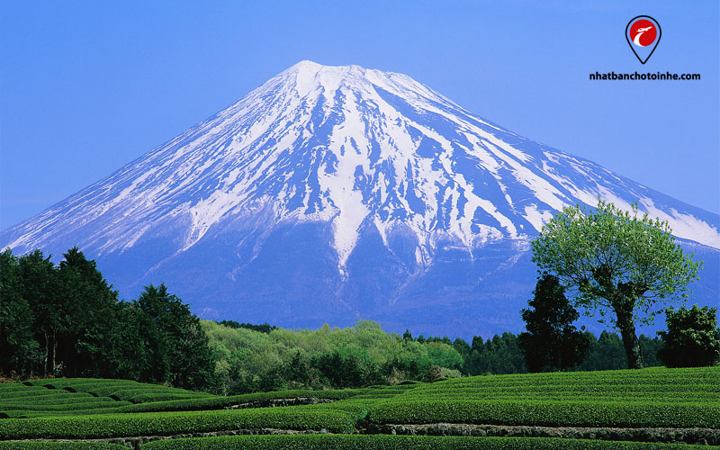 Du lịch Nhật Bản tháng 8: Núi Phú Sĩ vào mùa hè, Honshu