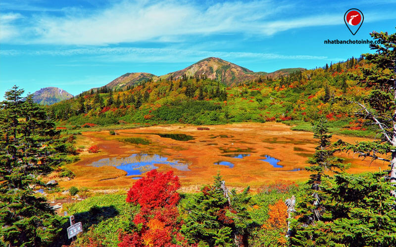Du lịch nhật bản tháng 11: Lá đỏ phủ đầy mặt hồ vào mùa thu