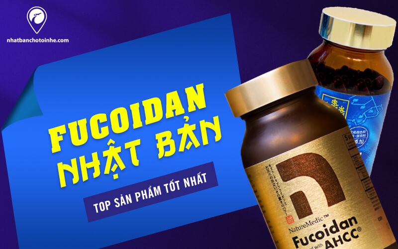 Fucoidan Nhật Bản là gì? Công dụng, cách dùng và các thuốc tốt nhất