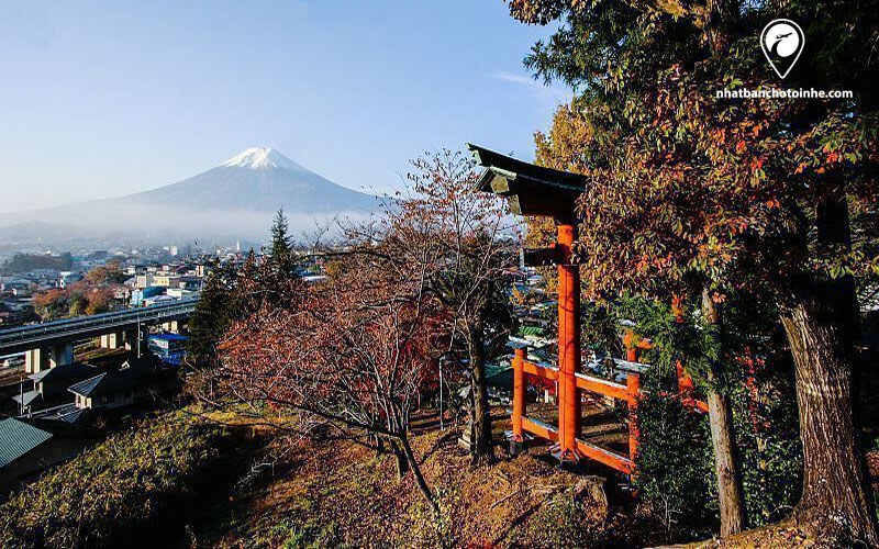 Du lịch Nhật Bản tháng 4: Phong cảnh khi nhìn từ ngôi đền