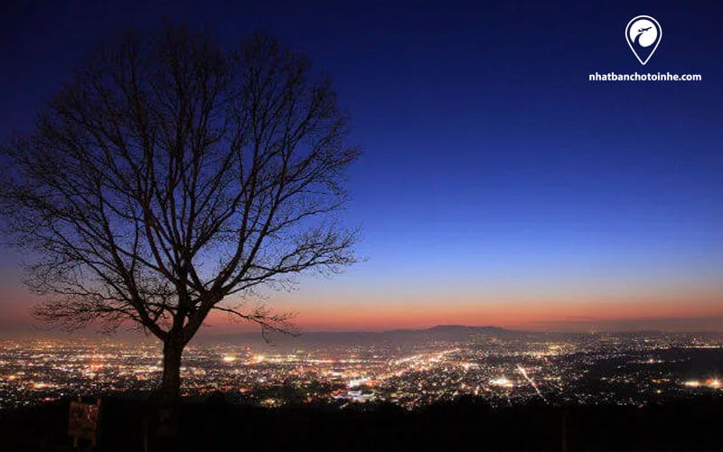 Du lịch Nhật Bản tháng 5: Cảnh đêm thành phố Nara khi nhìn từ đỉnh núi Wakakusa