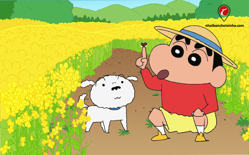 Học tiếng Nhật qua phim hoạt hình Shin cậu bé bút chì