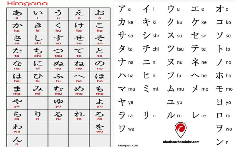 Cách học tiếng Nhật cơ bản: 2 bảng chữ cơ bản tiếng Nhật