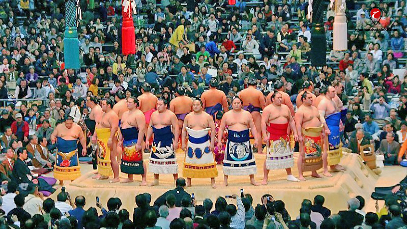 Sumo Nhật Bản