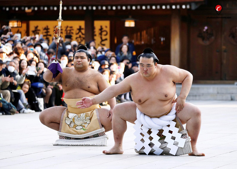 TOP 10 điều thú vị về Sumo Nhật Bản có thể bạn chưa biết