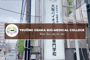 OBM (Osaka Bio-Medical College) Sao lại hot đến như vậy