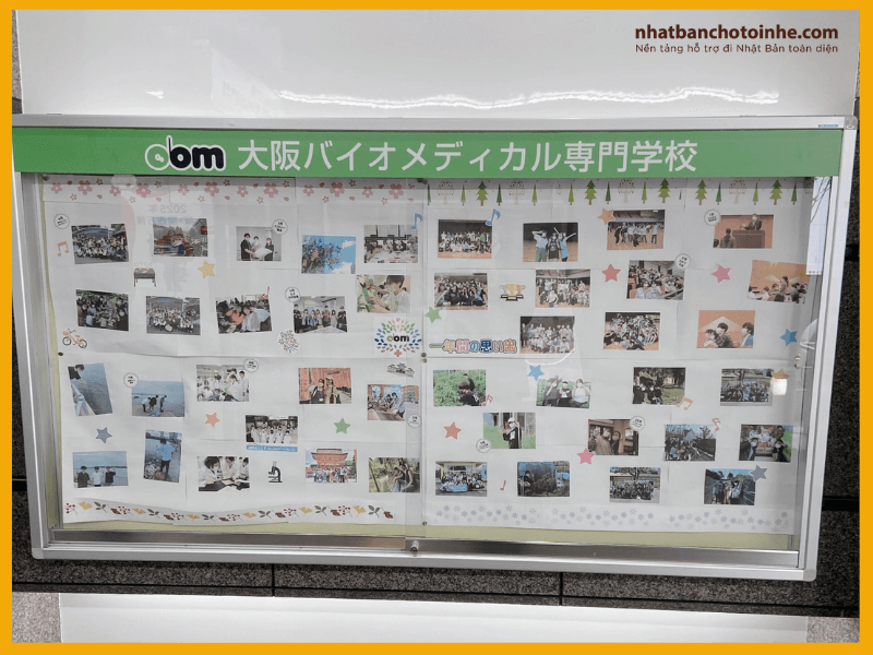 Chương trình giảng dạy đa dạng của OBM (Osaka Bio-Medical College)