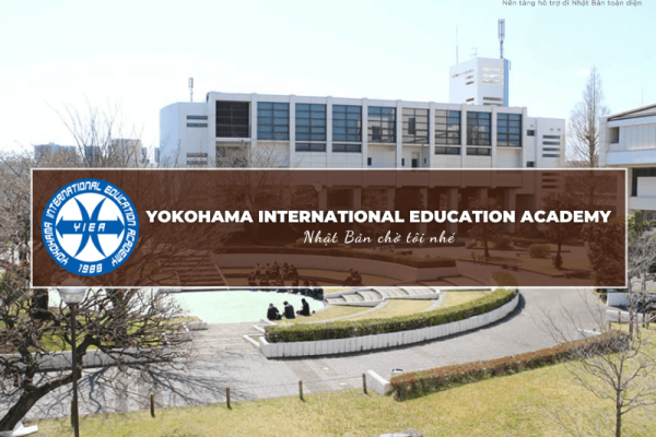 Yokohama International Education Academy có gì đặc biệt?