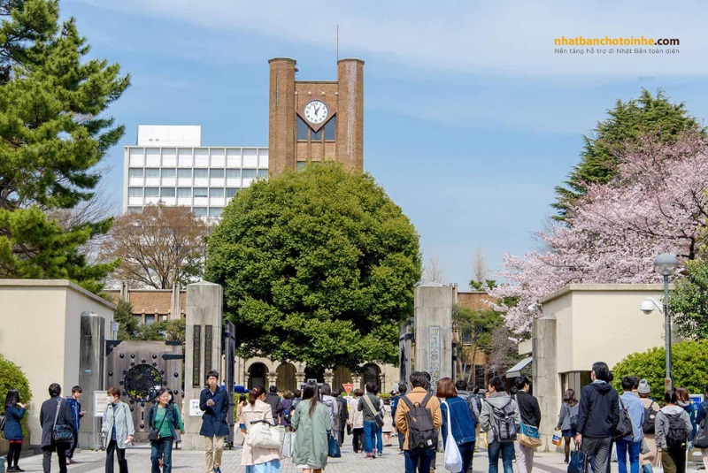 Tìm hiểu về du học Nhật Bản: Tất tần tật những điều cần biết