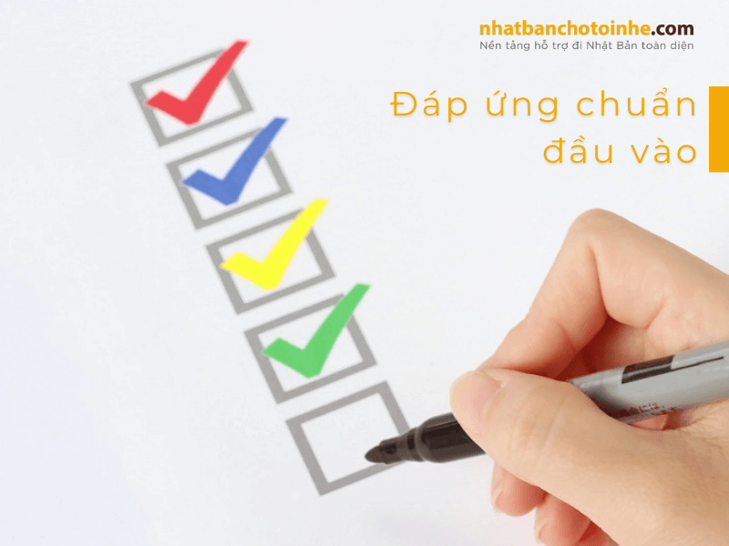 Cần đáp ứng những điều kiện cơ bản