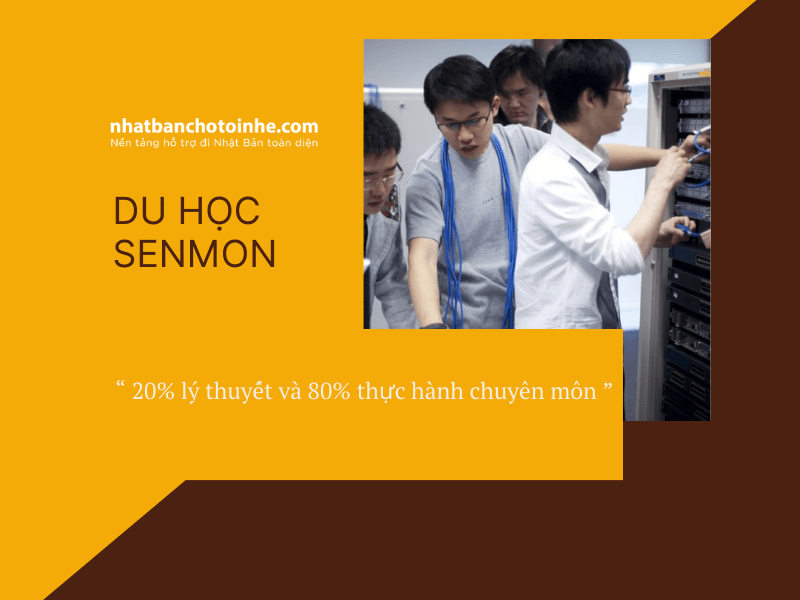 So sánh học nghề Senmon và đại học tại Nhật