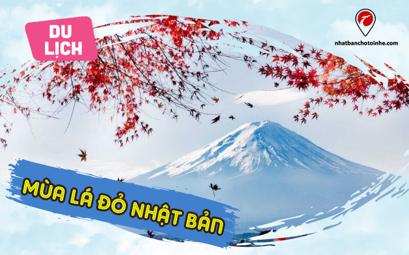 Mùa lá đỏ Nhật Bản - Momiji