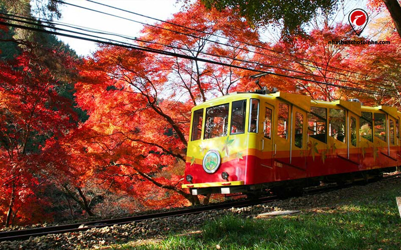 Núi Takao tỉnh Tokyo