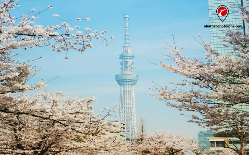 Tháp Tokyo Sky Tree.