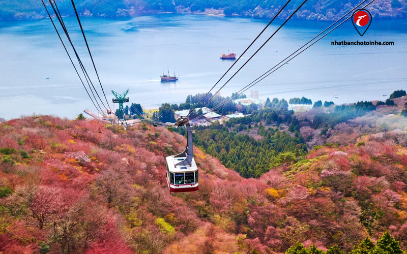 Cáp treo tham quan giữa ngàn hoa cỏ ở thị trấn Hakone