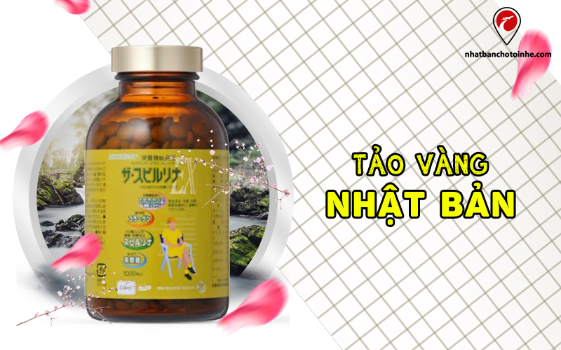 Tảo vàng Nhật Bản là gì? Công dung