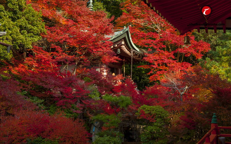 Đền Bishamon-do ở tỉnh Kyoto