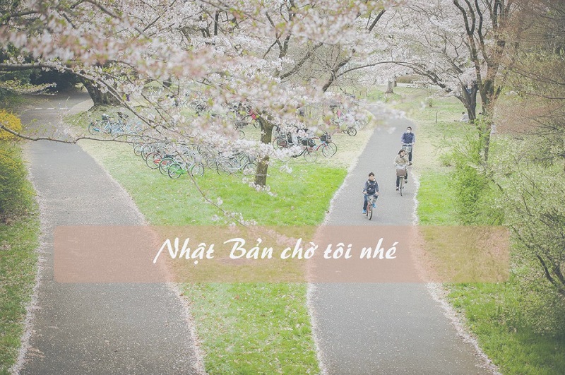 Nhật Bản chờ tôi nhé