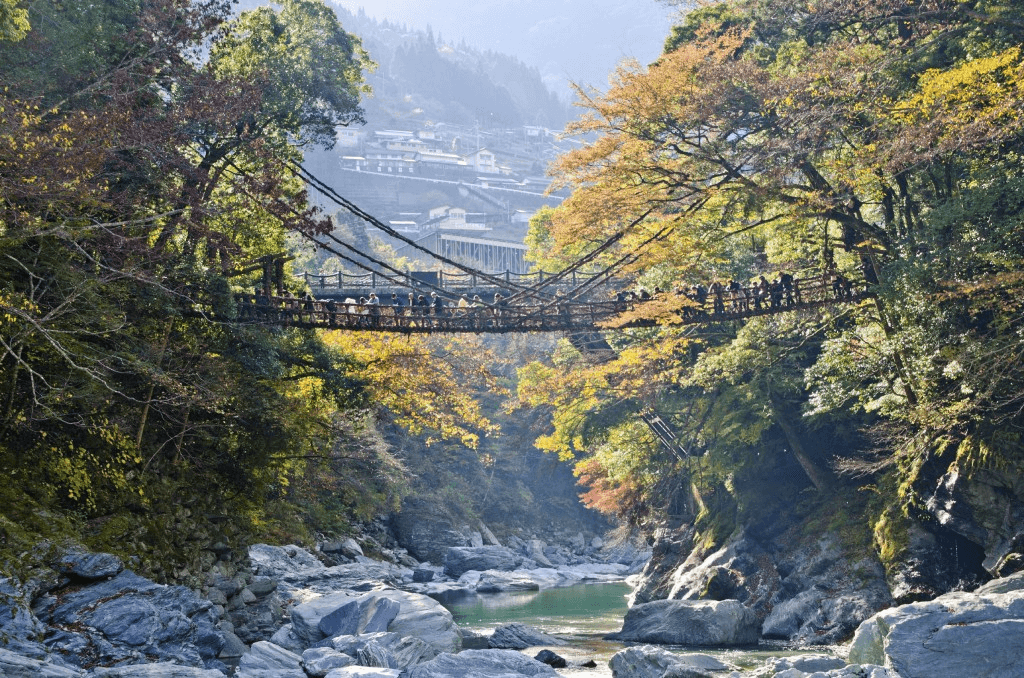 Cây cầu băng qua thung lũng Iya ẩn giấu ở Tokushima.