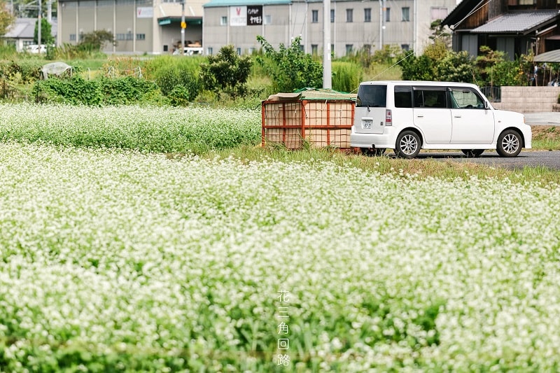 Tỉnh Hyogo cũng phát triển mạnh du lịch