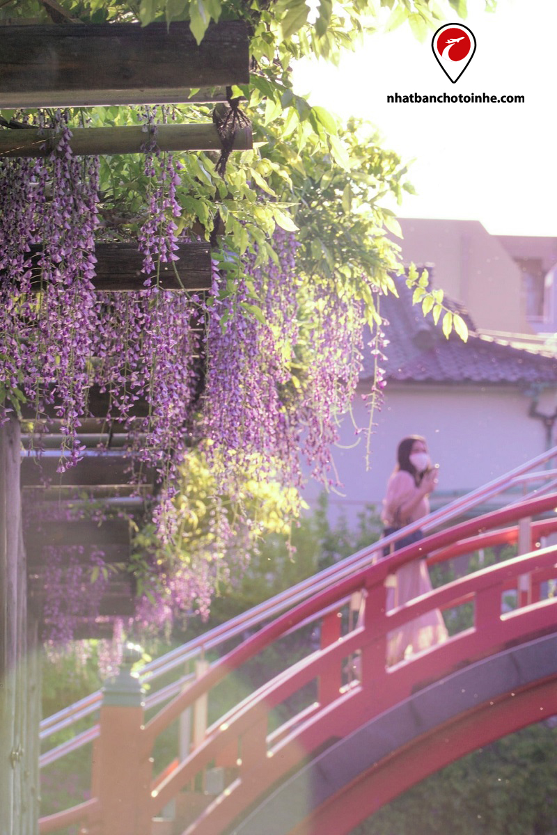 Khung cảnh tuyệt đẹp tại ngôi đền