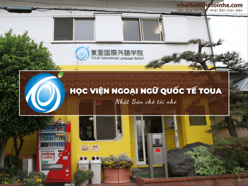 Học viện ngoại ngữ Quốc tế TOUA: Thông tin tuyển sinh, đào tạo và học phí