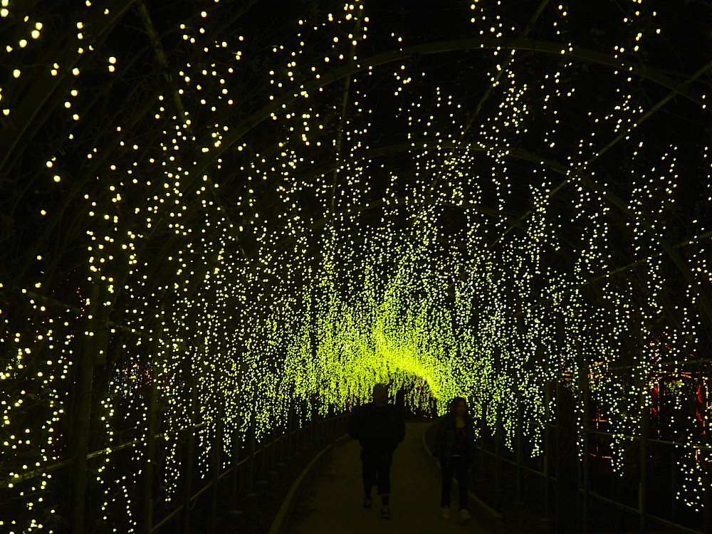 Lễ hội mùa đông Hakodate