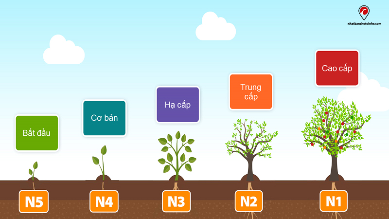 Phù hợp với người đang trong trình độ sơ cấp (N4, N5)