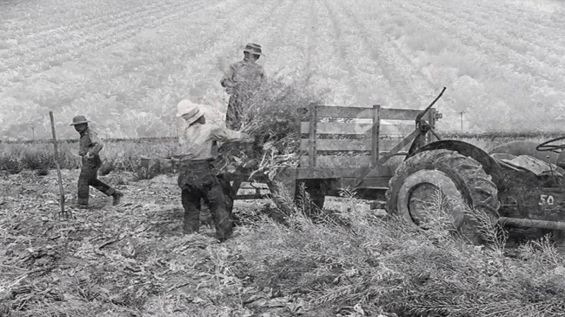 Nhật Bản khôi phục, phát triển kinh tế sau chiến tranh thế giới