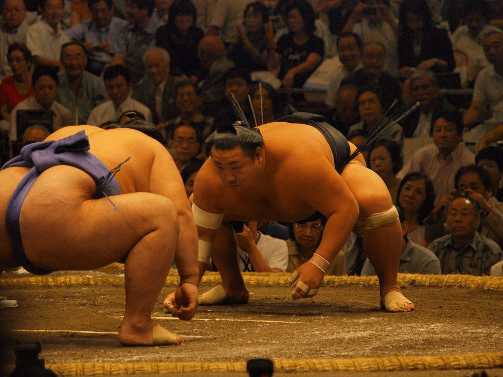 Trải nghiệm giải đấu sumo ở Tokyo, Nagoya, Osaka và Fukuoka