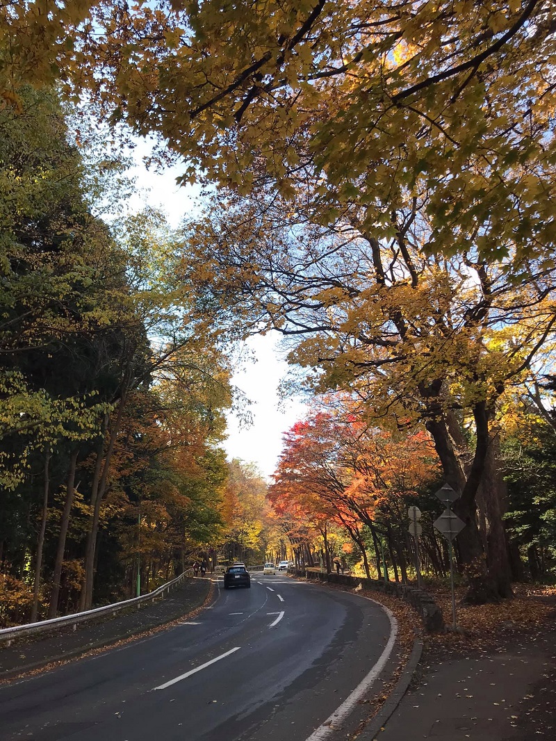 Sapporo những ngày vào thu