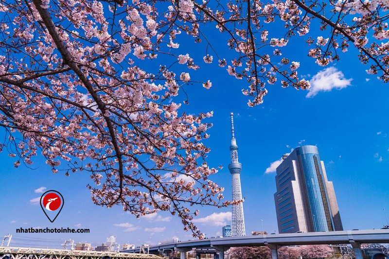 Tháp Skytree