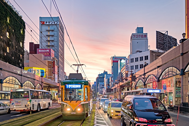 Kagoshima có ngành nông nghiệp phát triển