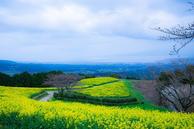 Khí hậu Nagasaki khá giống ở Việt Nam